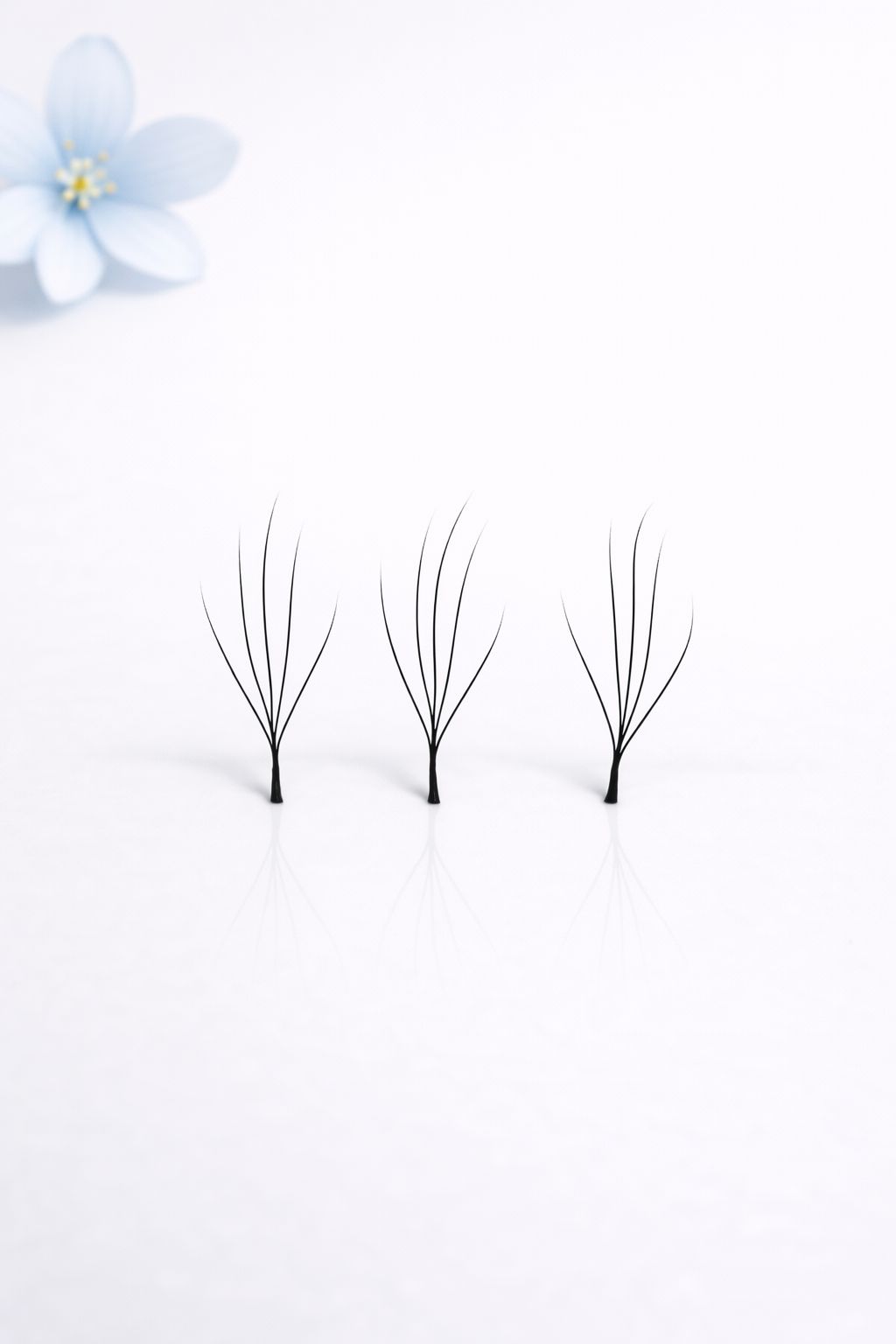 5W pine Camelia lashes, curl CC, 0.07, 16 lines