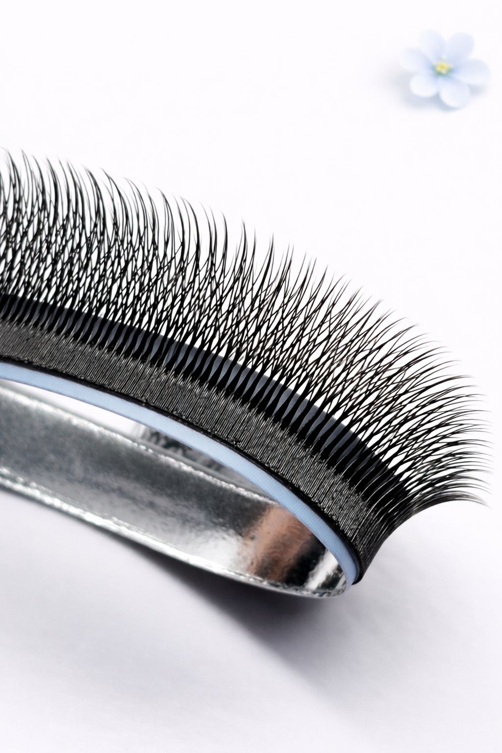 5W pine Camelia lashes, curl CC, 0.07, 16 lines