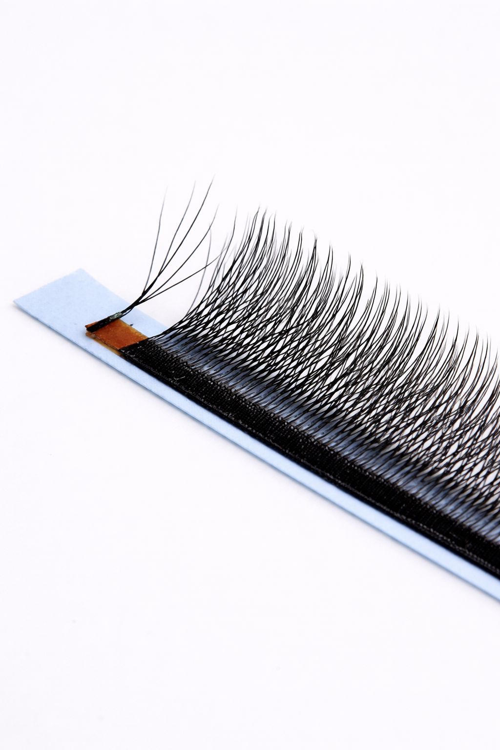 5W pine Camelia lashes, curl CC, 0.07, 16 lines