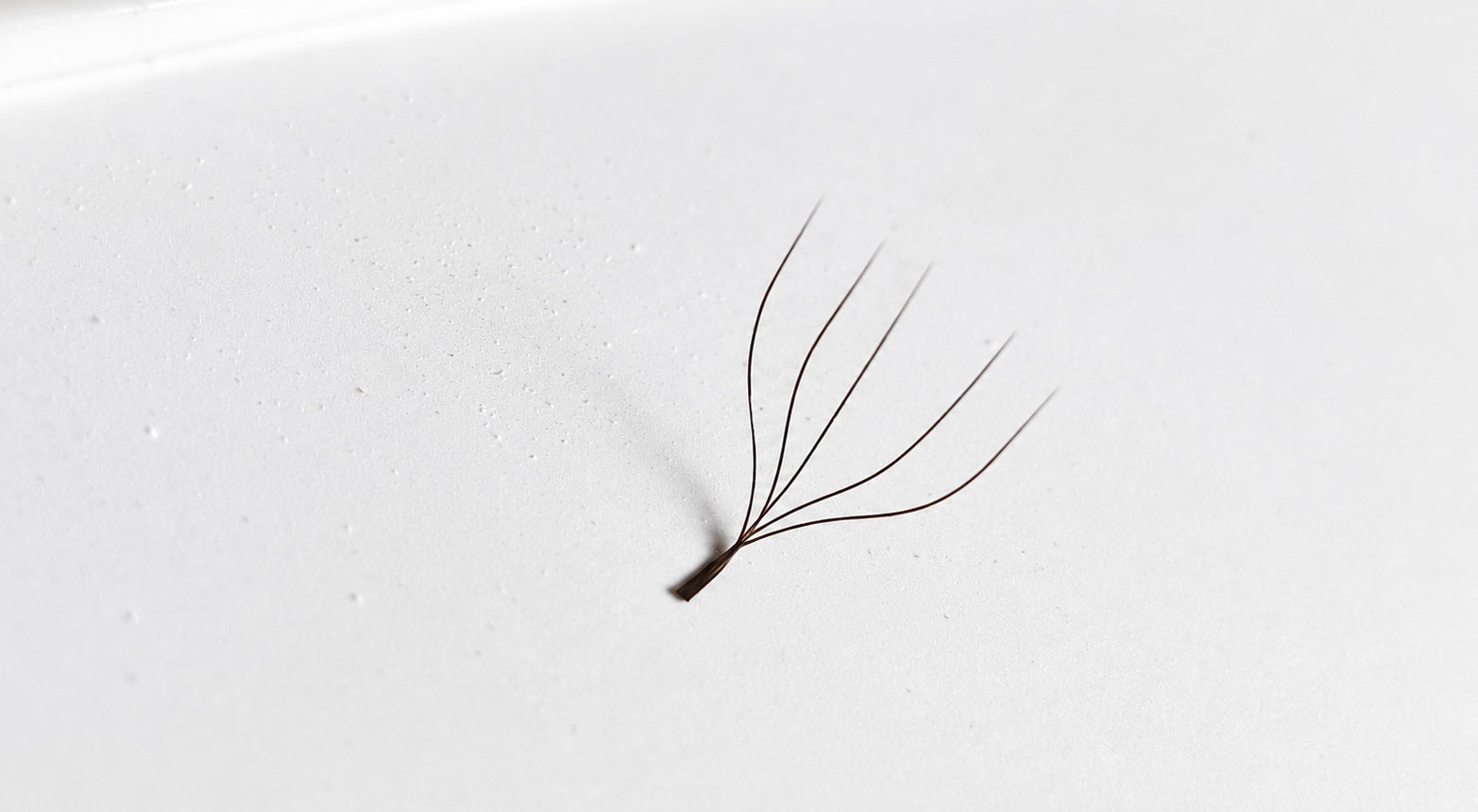 M Brown - Pre-made 4W Lashes