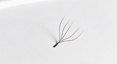 M Brown - Pre-made 4W Lashes