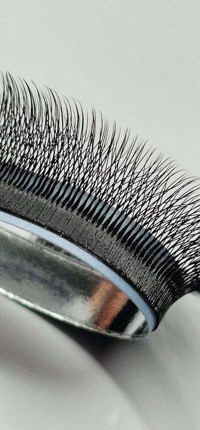 5W pine Camelia lashes, curl CC, 0.07, 16 lines