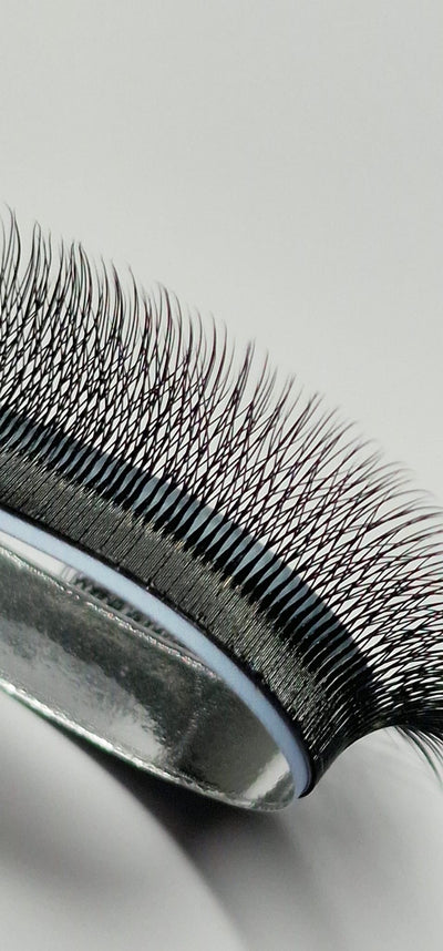 5W pine Camelia lashes, curl CC, 0.07, 16 lines
