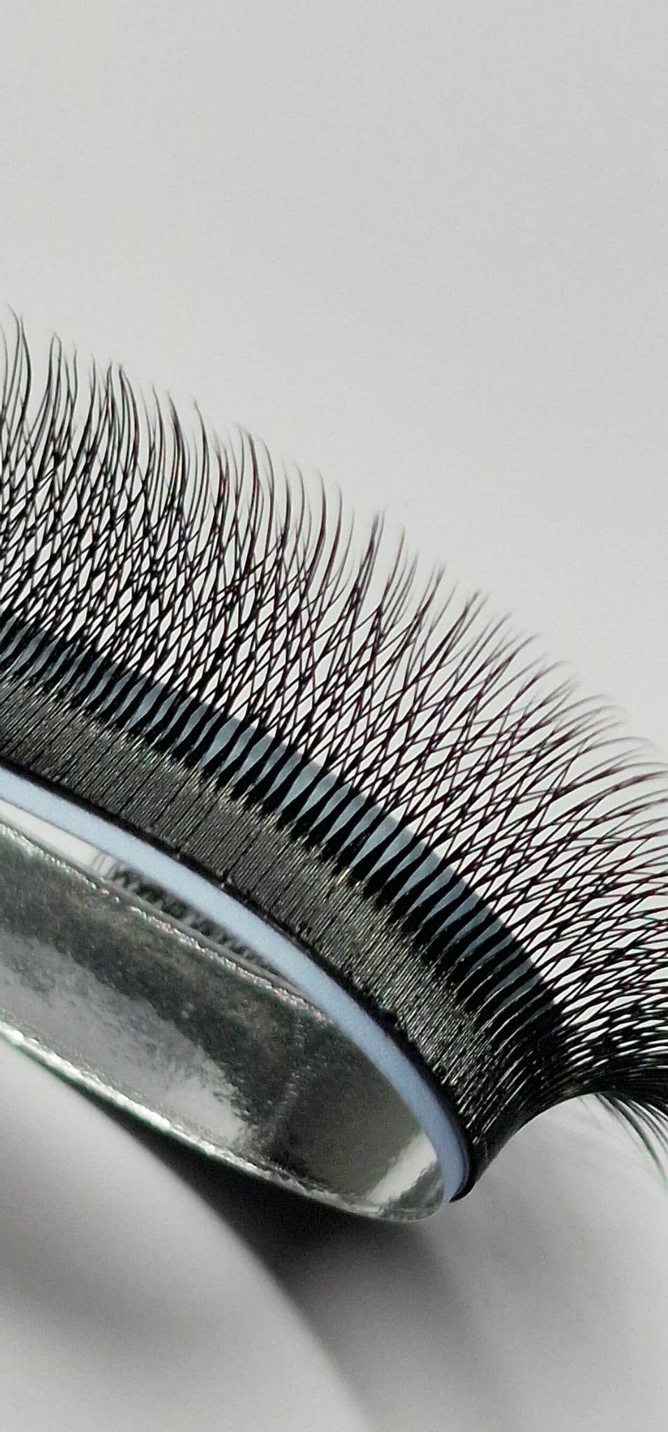 5W pine Camelia lashes, curl CC, 0.07, 16 lines