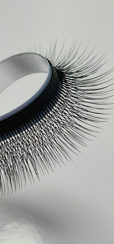 5W pine Camelia lashes, curl CC, 0.07, 16 lines
