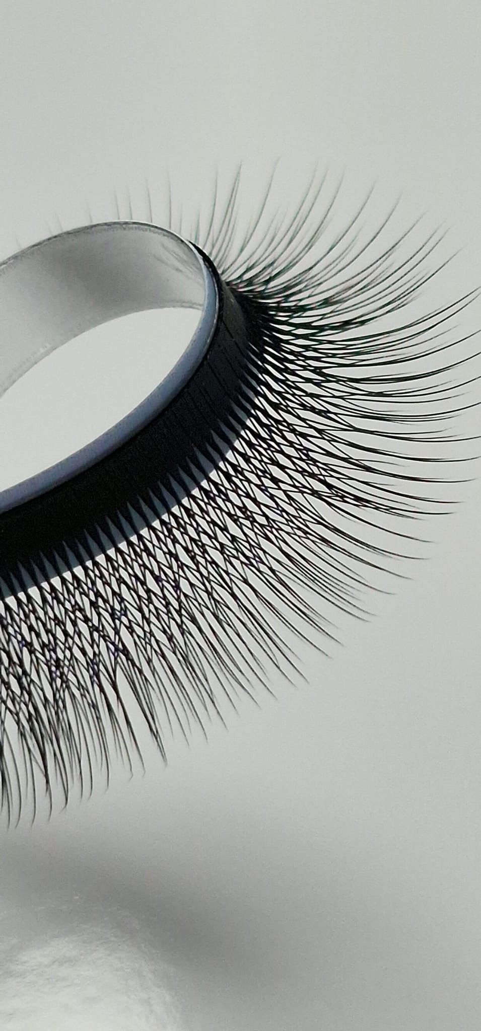 5W pine Camelia lashes, curl CC, 0.07, 16 lines