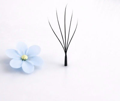 5W pine Camelia lashes, curl CC, 0.07, 16 lines