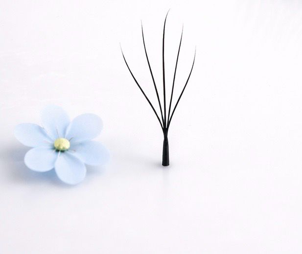 5W pine Camelia lashes, curl CC, 0.07, 16 lines