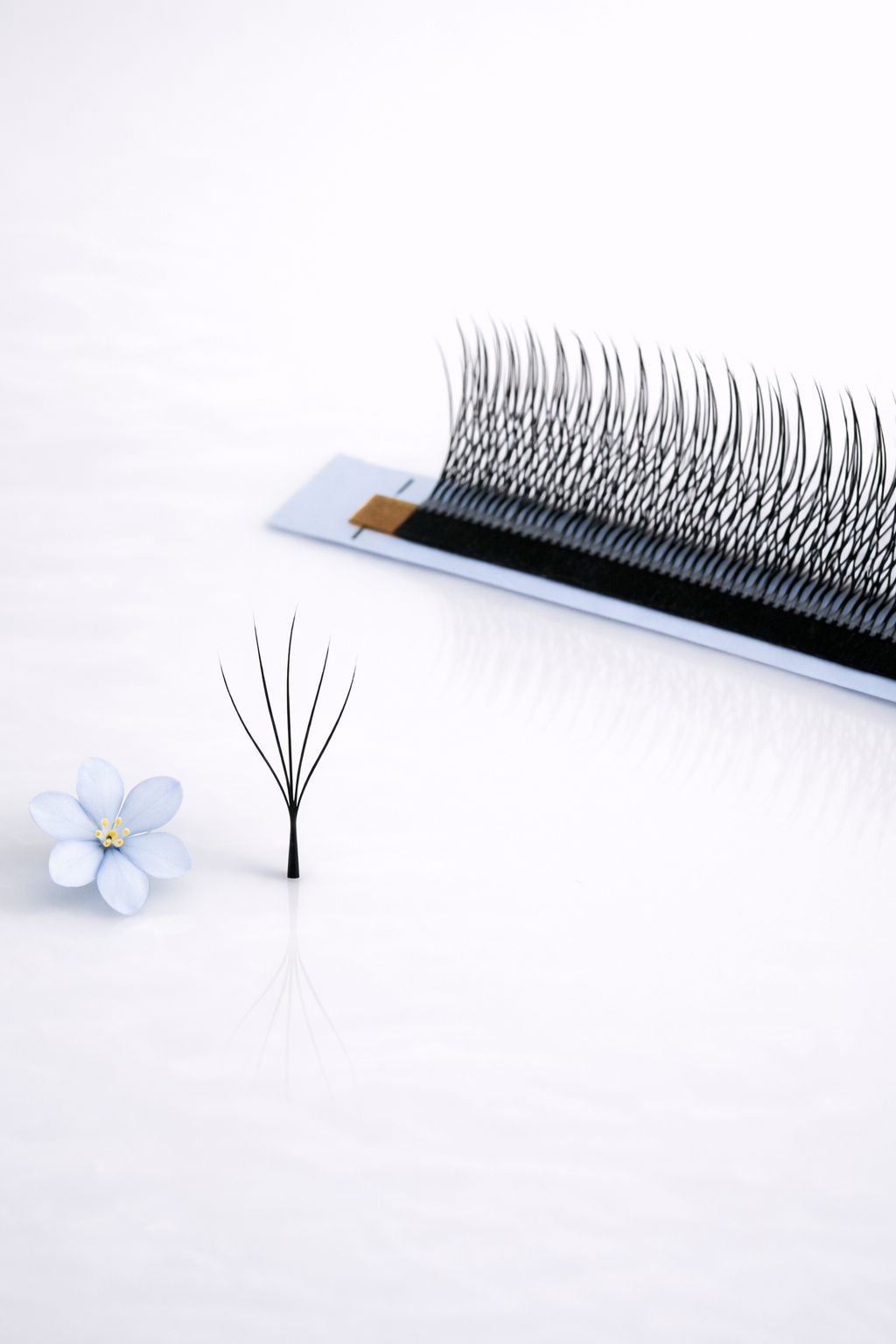 5W pine Camelia lashes, curl CC, 0.07, 16 lines