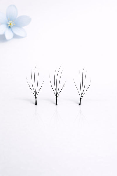 5W pine Camelia lashes, curl CC, 0.07, 16 lines