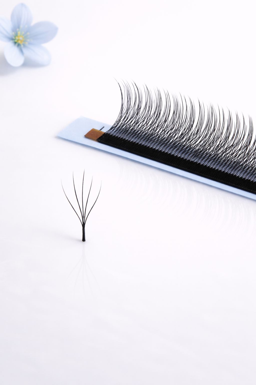 5W pine Camelia lashes, curl CC, 0.07, 16 lines
