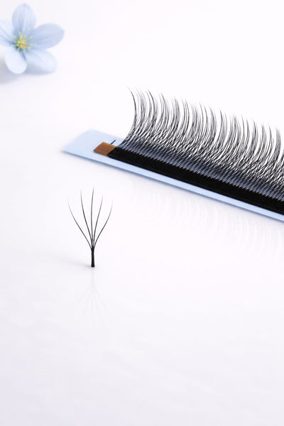 5W pine Camelia lashes, curl CC, 0.07, 16 lines