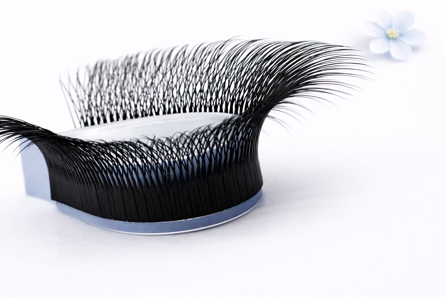 5W pine Camelia lashes, curl CC, 0.07, 16 lines