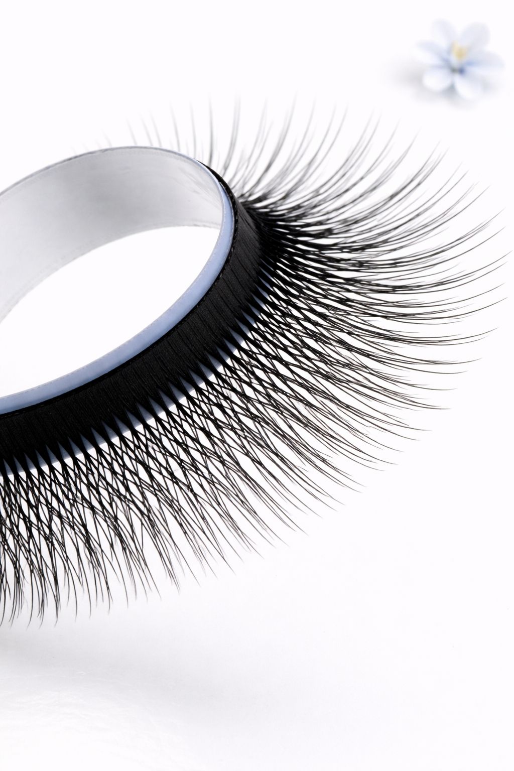 5W pine Camelia lashes, curl CC, 0.07, 16 lines