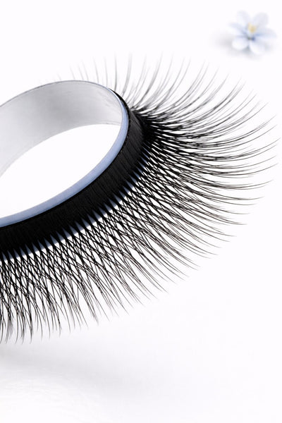 5W pine Camelia lashes, curl CC, 0.07, 16 lines