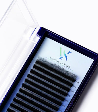 5W pine Camelia lashes, curl CC, 0.07, 16 lines