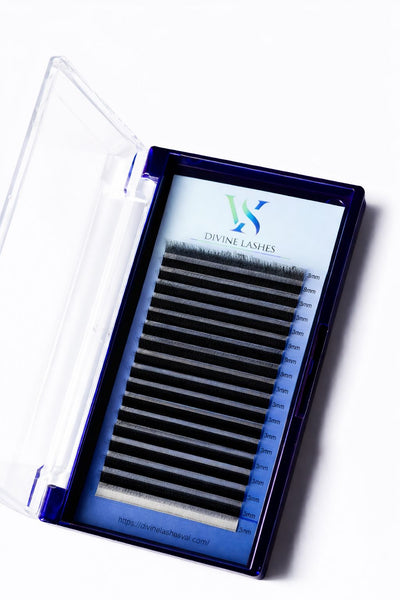 5W pine Camelia lashes, curl CC, 0.07, 16 lines