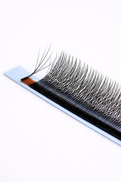 5W pine Camelia lashes, curl CC, 0.07, 16 lines